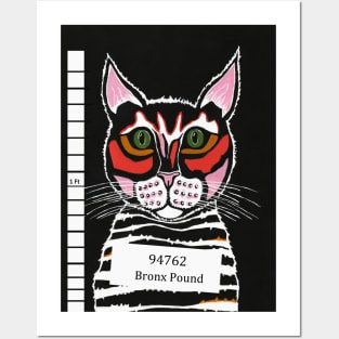 FUNNY Black Cat Mug Shot Posters and Art